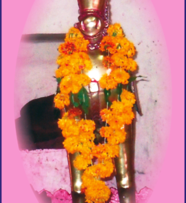 <br />
<b>Warning</b>:  count(): Parameter must be an array or an object that implements Countable in <b>/home/neegr8trui0a/public_html/wp-content/themes/kitchen/templates/content-archive-design.php</b> on line <b>19</b><br />
