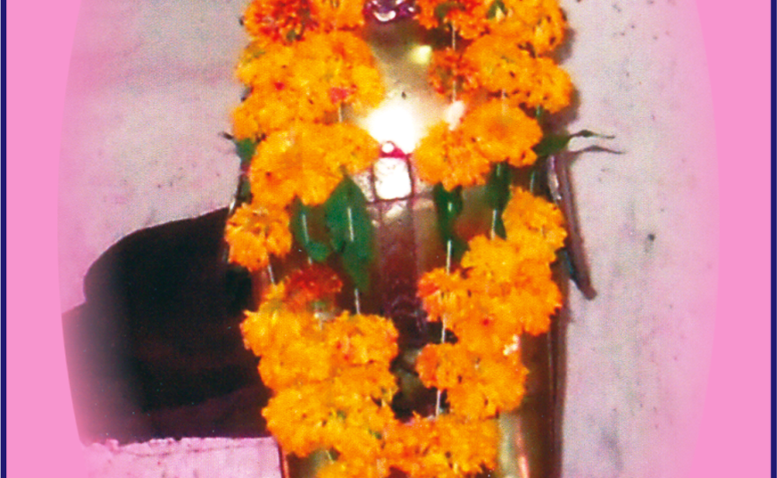 <br />
<b>Warning</b>:  count(): Parameter must be an array or an object that implements Countable in <b>/home/neegr8trui0a/public_html/wp-content/themes/kitchen/templates/content-blog-list.php</b> on line <b>21</b><br />
