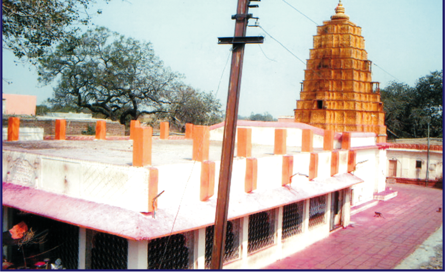 <br />
<b>Warning</b>:  count(): Parameter must be an array or an object that implements Countable in <b>/home/neegr8trui0a/public_html/wp-content/themes/kitchen/templates/content-blog-list.php</b> on line <b>21</b><br />
