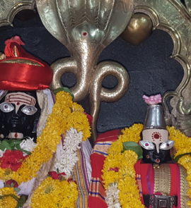 <br />
<b>Warning</b>:  count(): Parameter must be an array or an object that implements Countable in <b>/home/neegr8trui0a/public_html/wp-content/themes/kitchen/templates/content-archive-design.php</b> on line <b>19</b><br />
