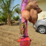 श्री काळभैरवनाथ सोनारी यात्रा महोत्सव २०१९