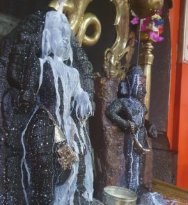 <br />
<b>Warning</b>:  count(): Parameter must be an array or an object that implements Countable in <b>/home/neegr8trui0a/public_html/wp-content/themes/kitchen/templates/content-archive-design.php</b> on line <b>19</b><br />
